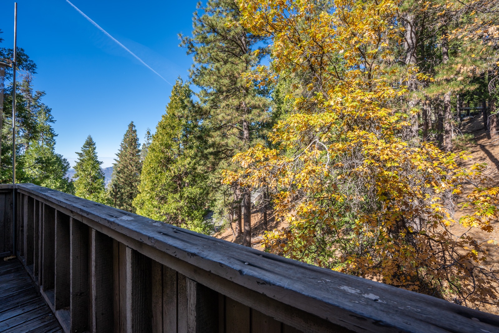 Step onto the spacious deck and enjoy treehouse-like views