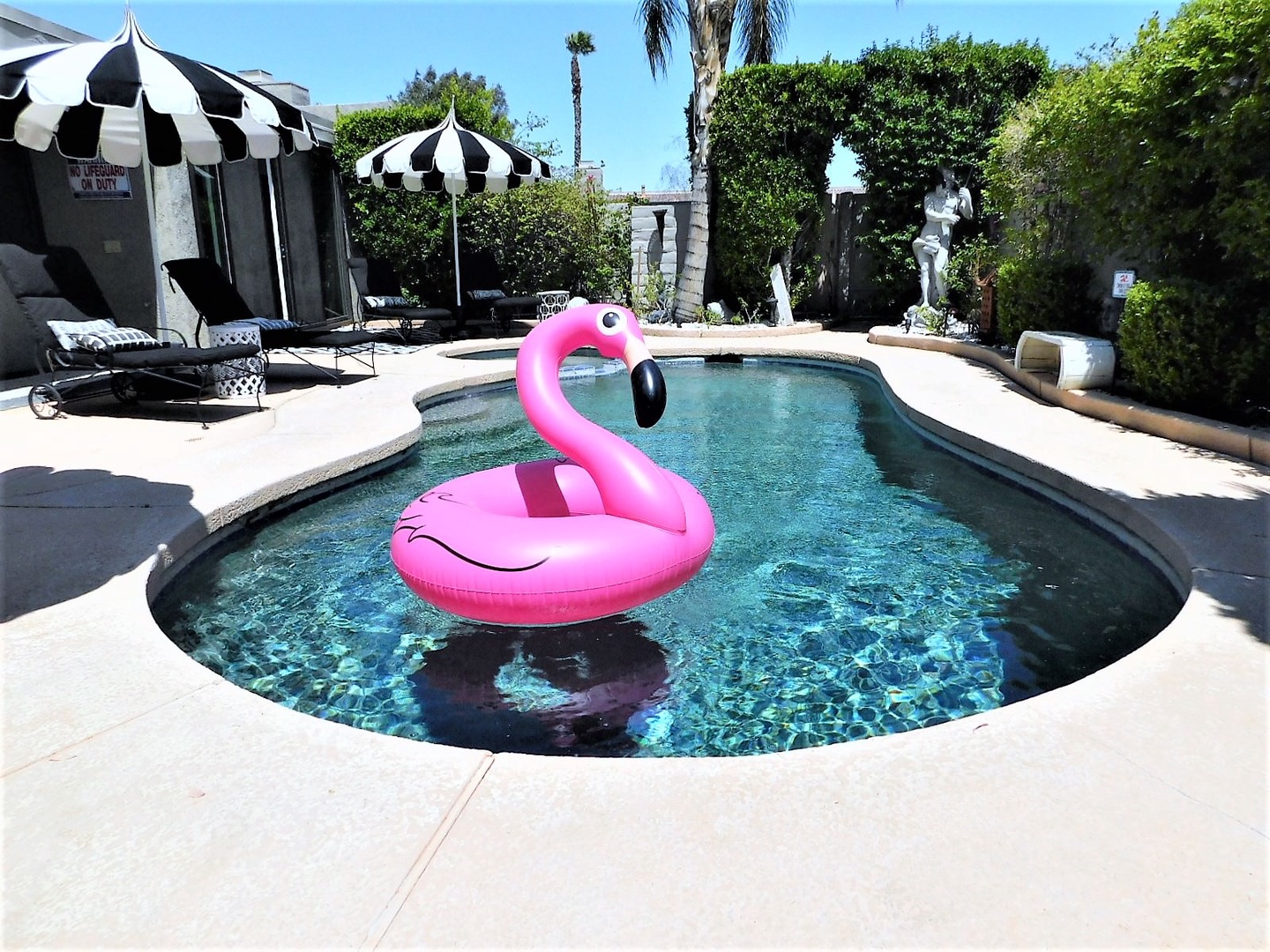 Private instagrammable pool with flamingo floater!
