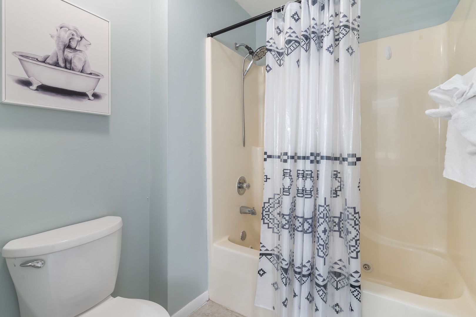 Bathroom Shower/Tub Combo