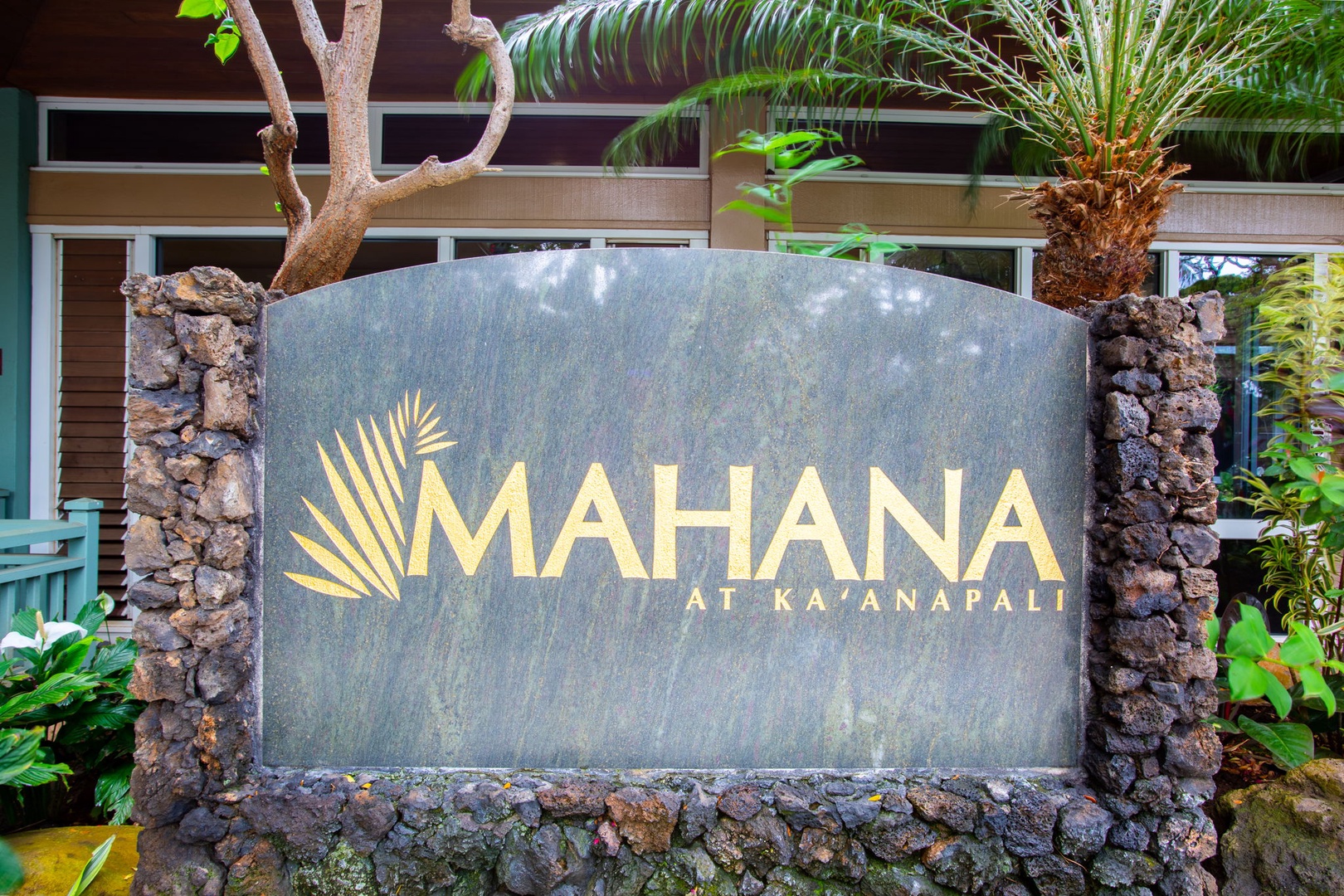 Welcome to Mahana!