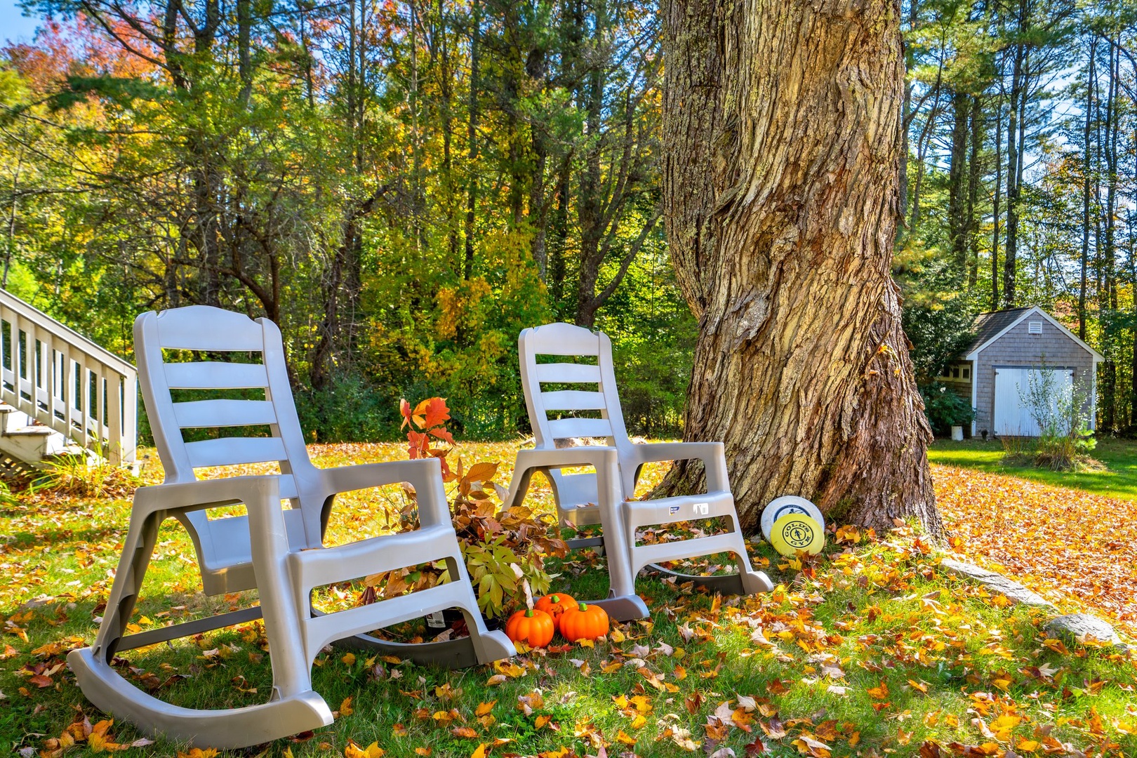 Spacious back yard