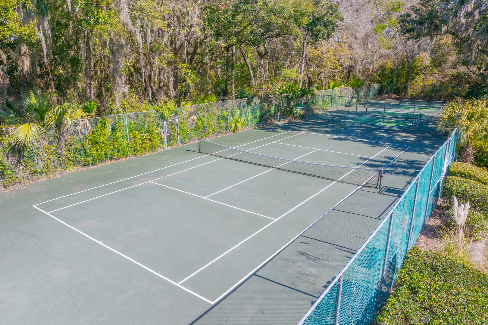 Game, set, match! Enjoy a day on the courts