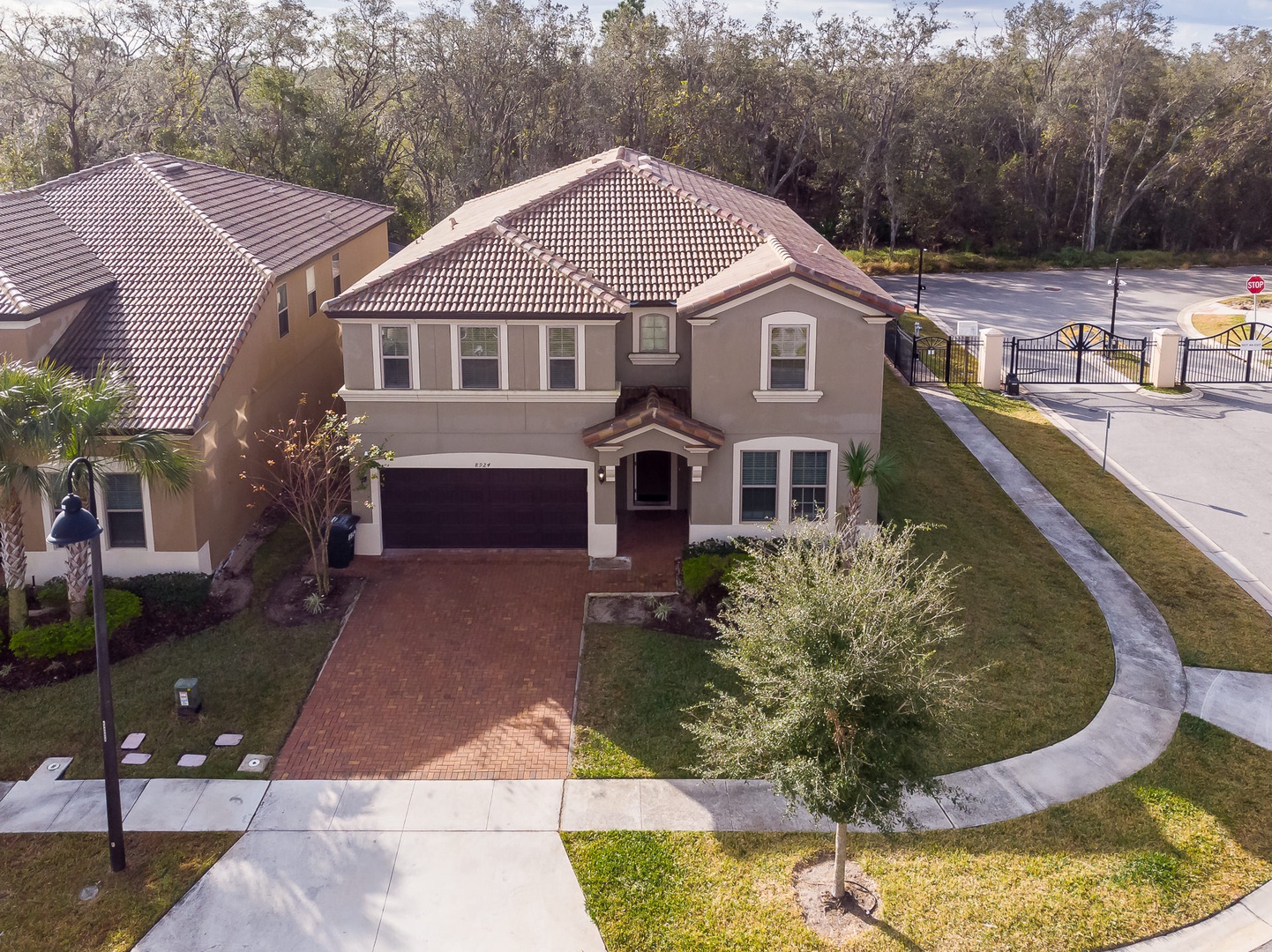 Blue Bengal Paradise