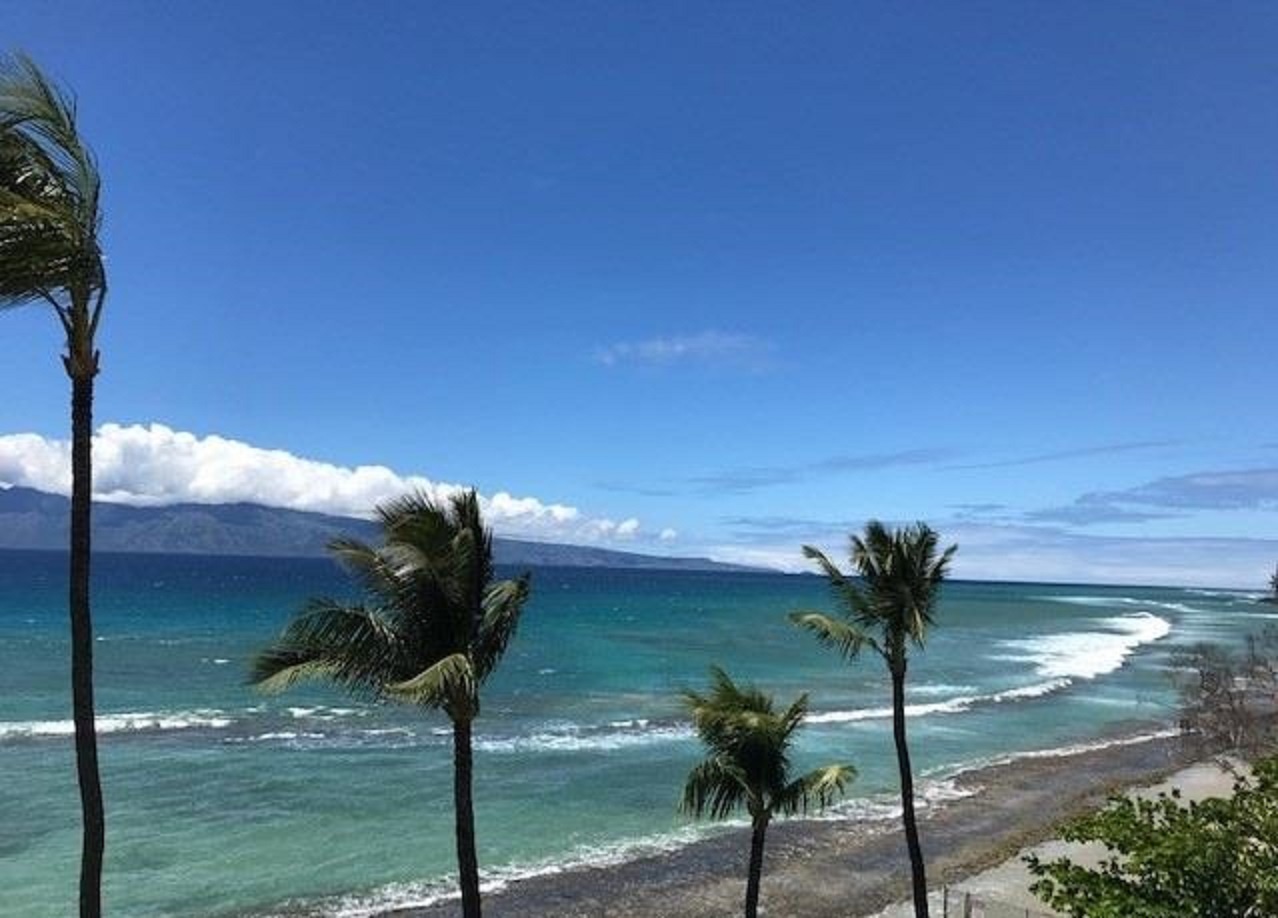 Paki Maui