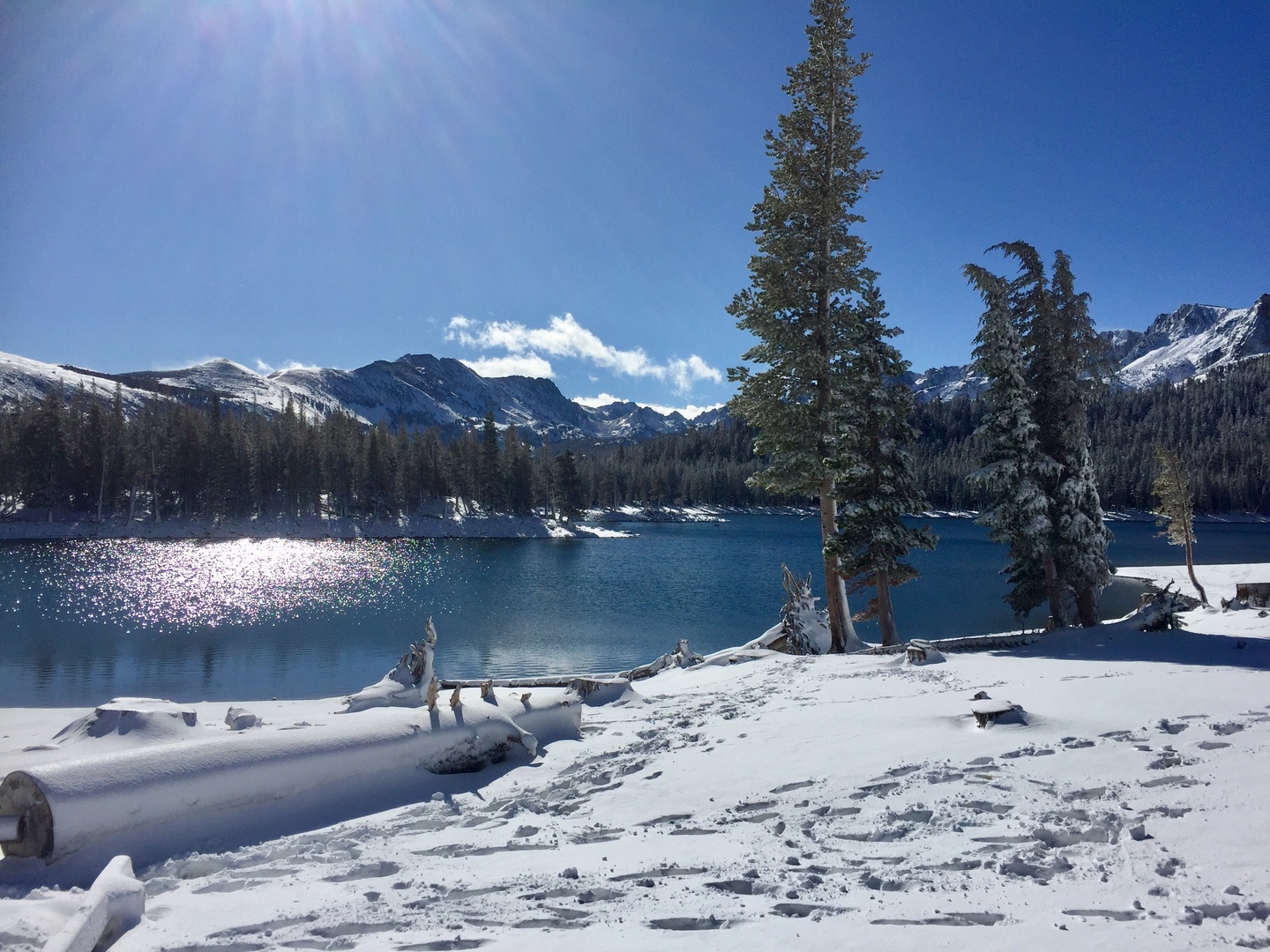 Mammoth Lake - Horseshoe Lake