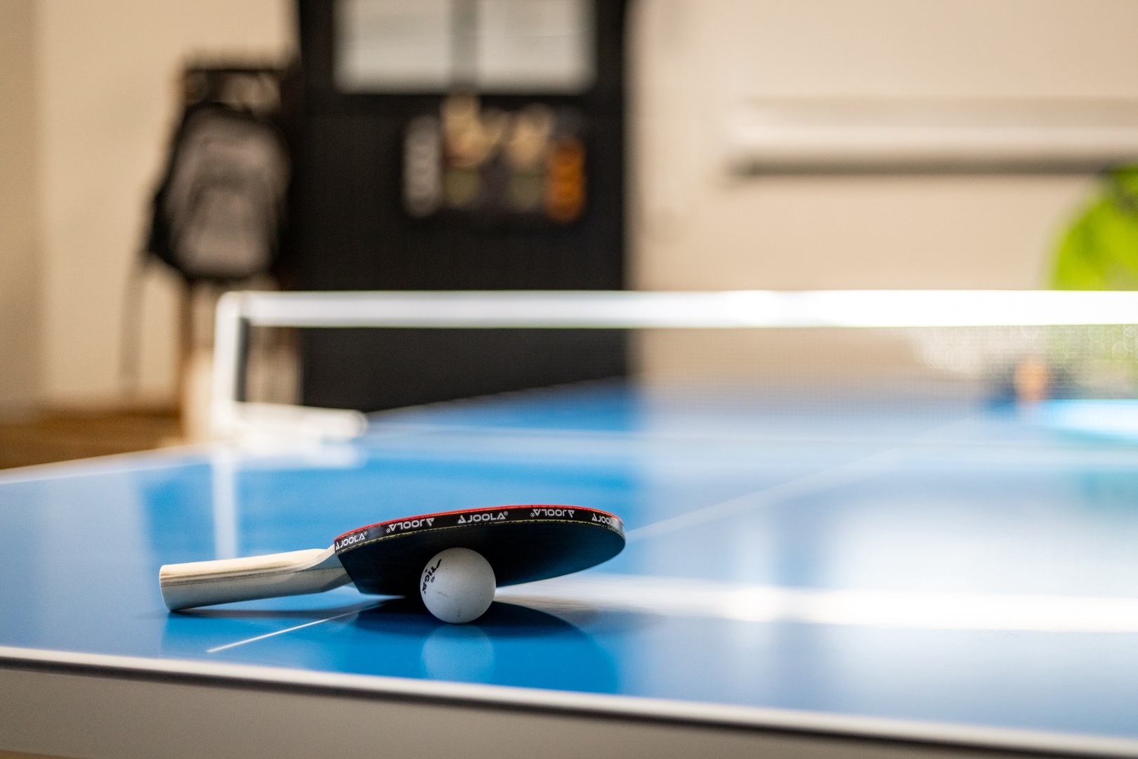 Garage ping pong table
