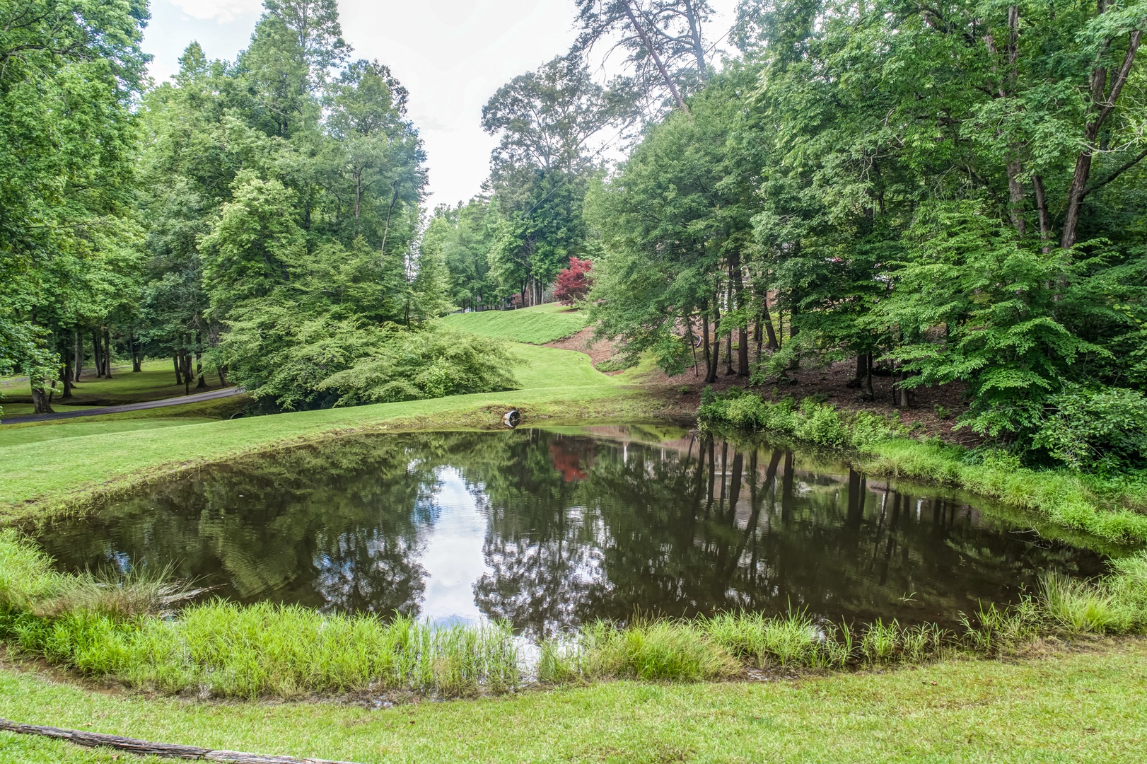 Take a stroll to the pond on the property & enjoy the tranquil nature views