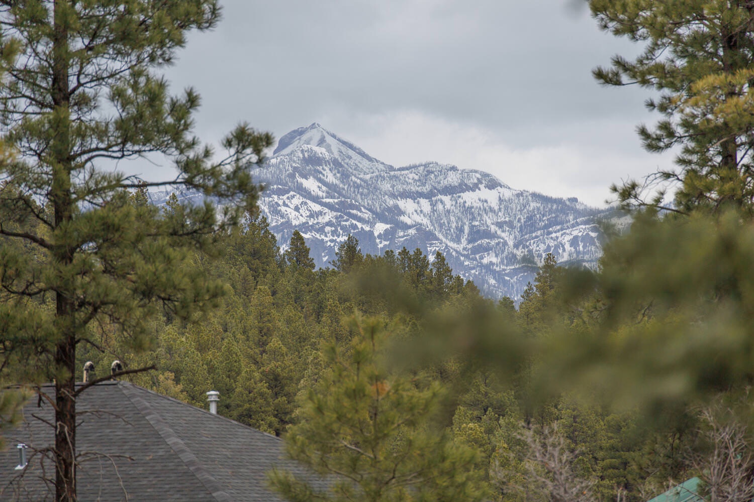 View of Pagosa Peak from the front yard