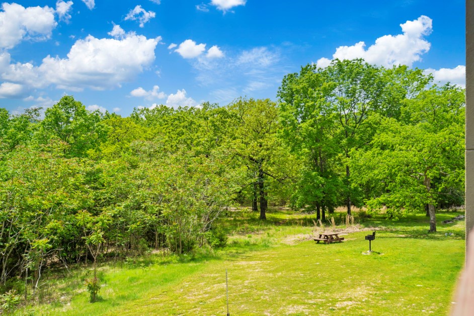 You’ll love the tranquil nature views from the Back Deck of this cozy Branson condo
