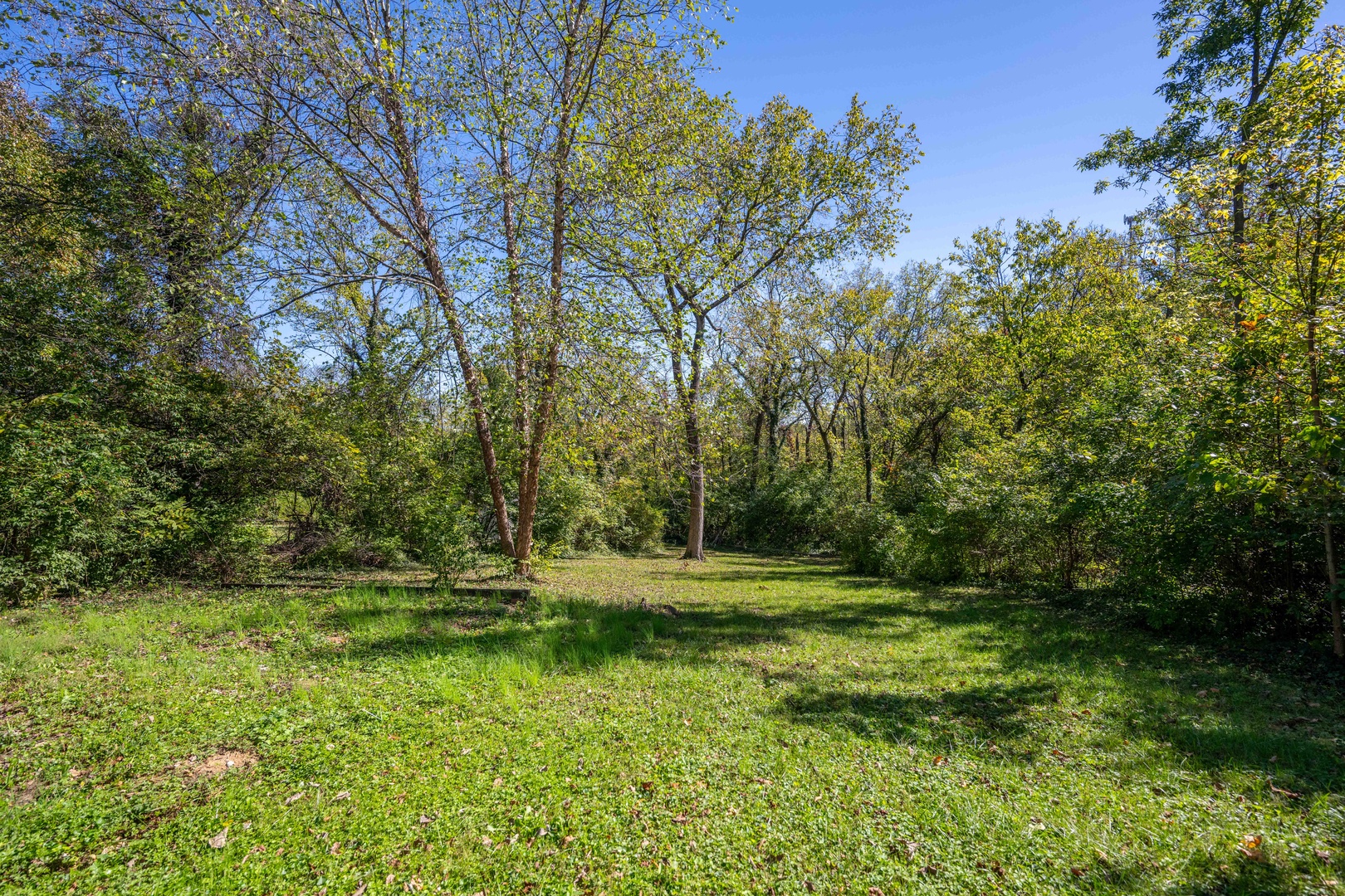 The back yard offers loads of space for relaxation & play