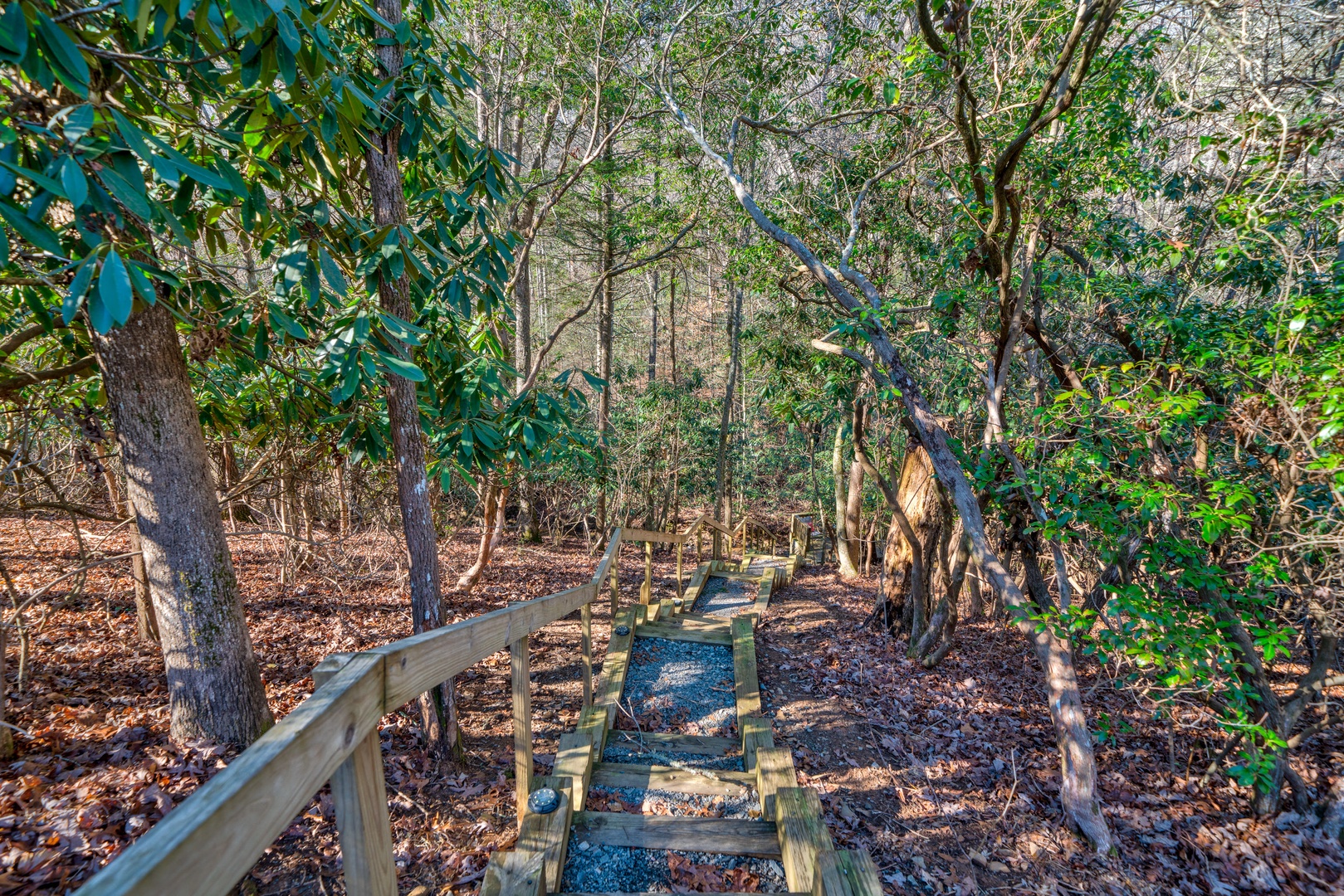Path Leading down to the creek