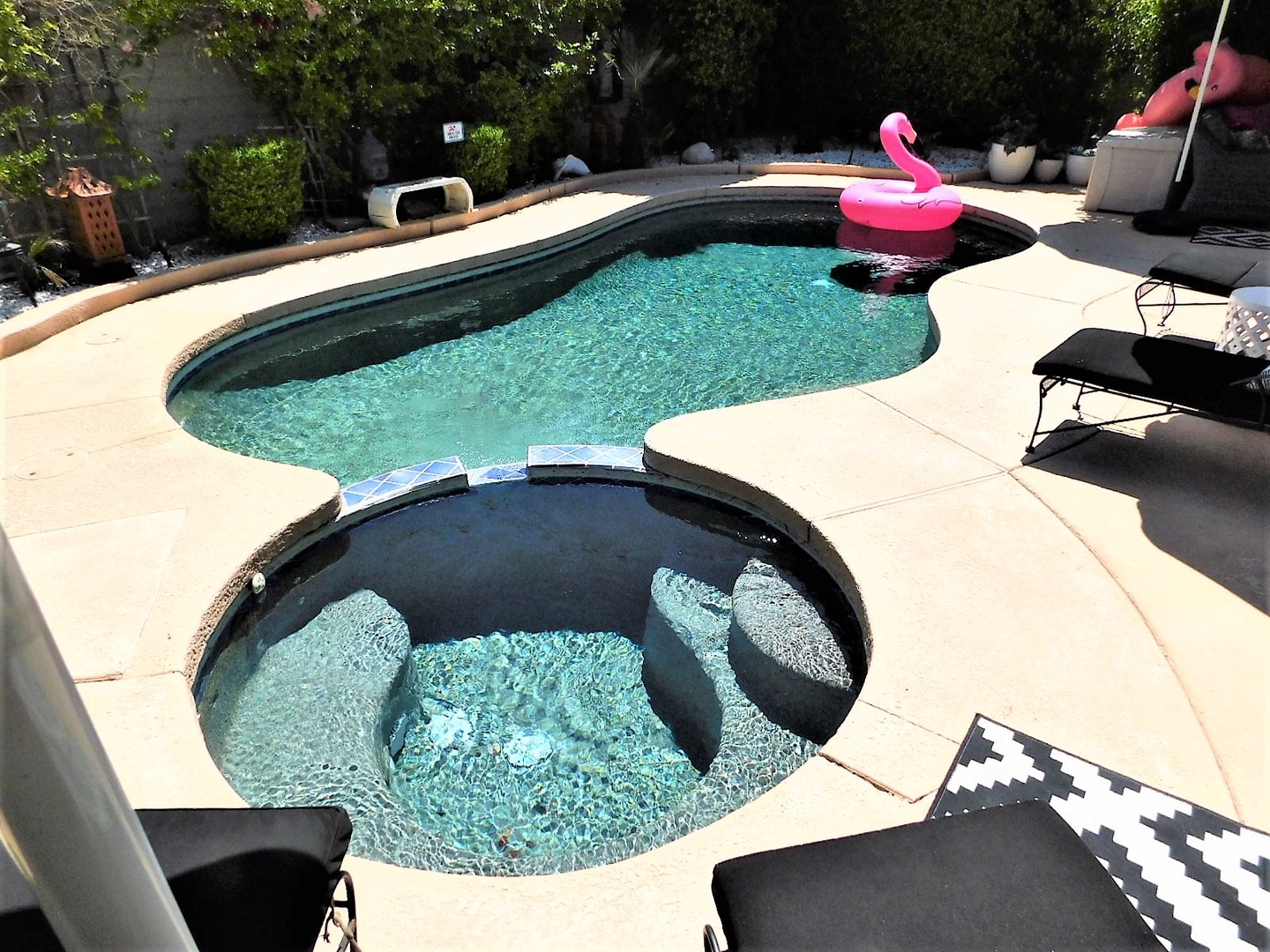 Private instagrammable pool with flamingo floater!