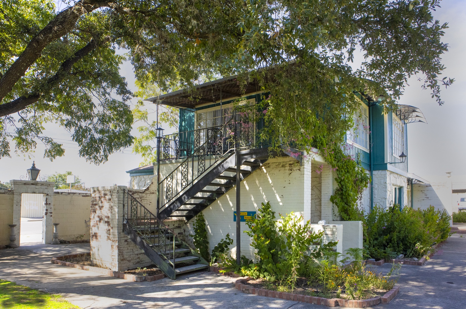 Mariposa Buckeye sits right in downtown Kerrville