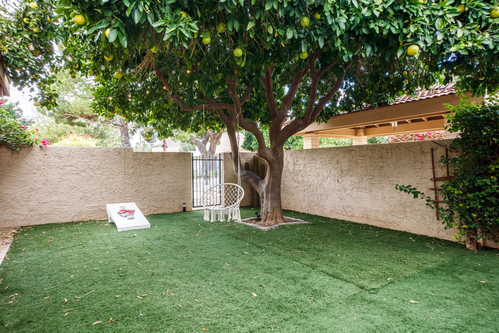 Backyard