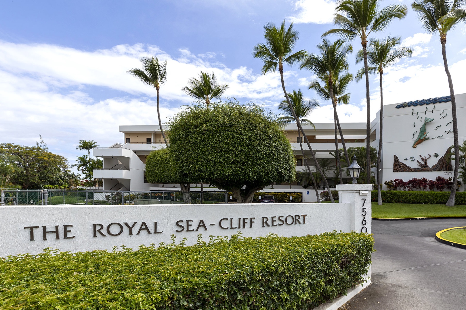 Royal Sea Cliff 418