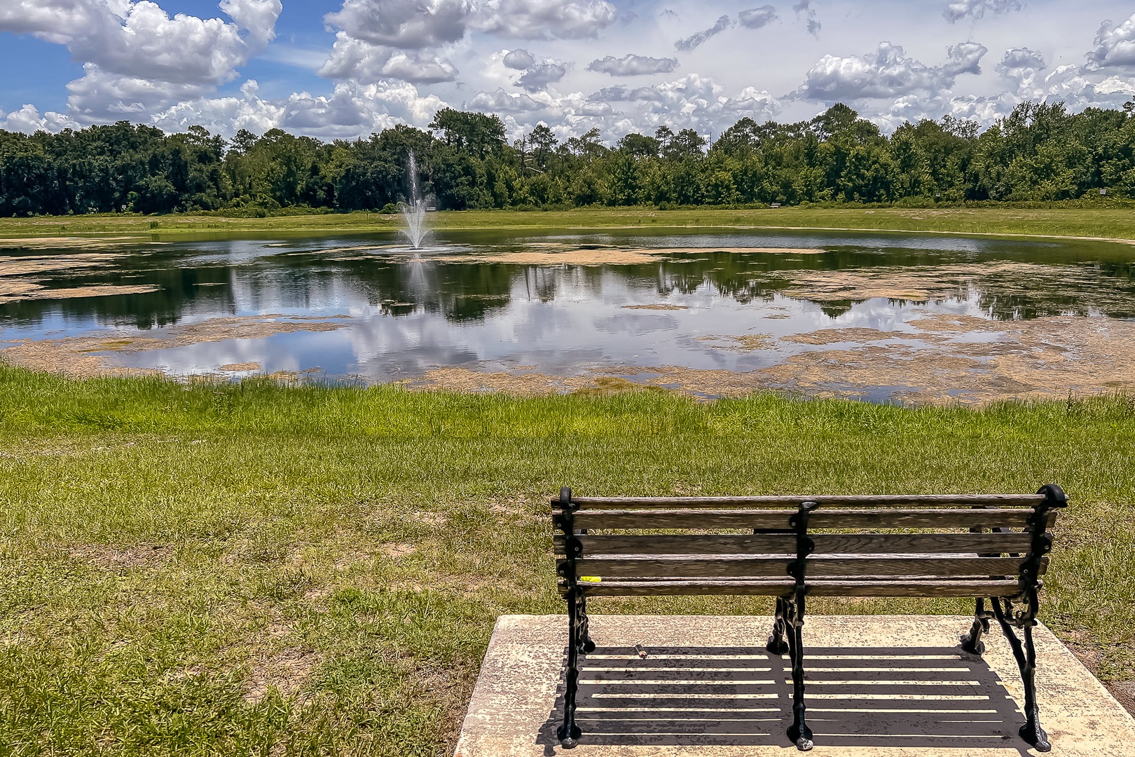 Oakwater Complex Pond