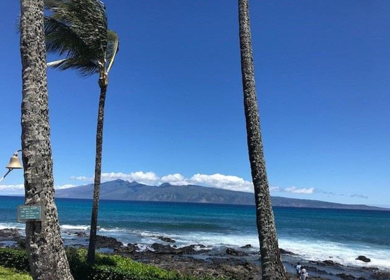 Paki Maui