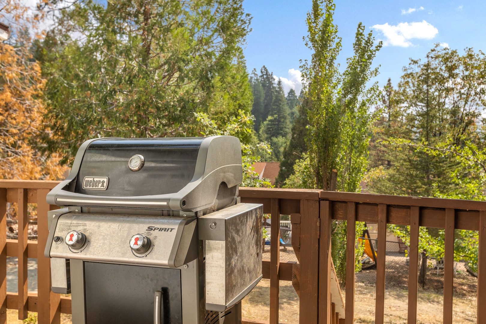 Gas grill for use in the warmer months