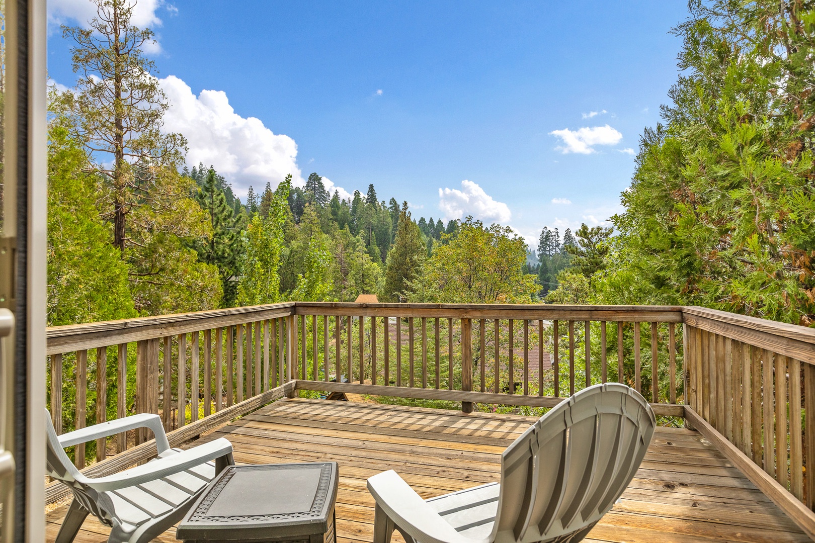 Soak in the forest views!