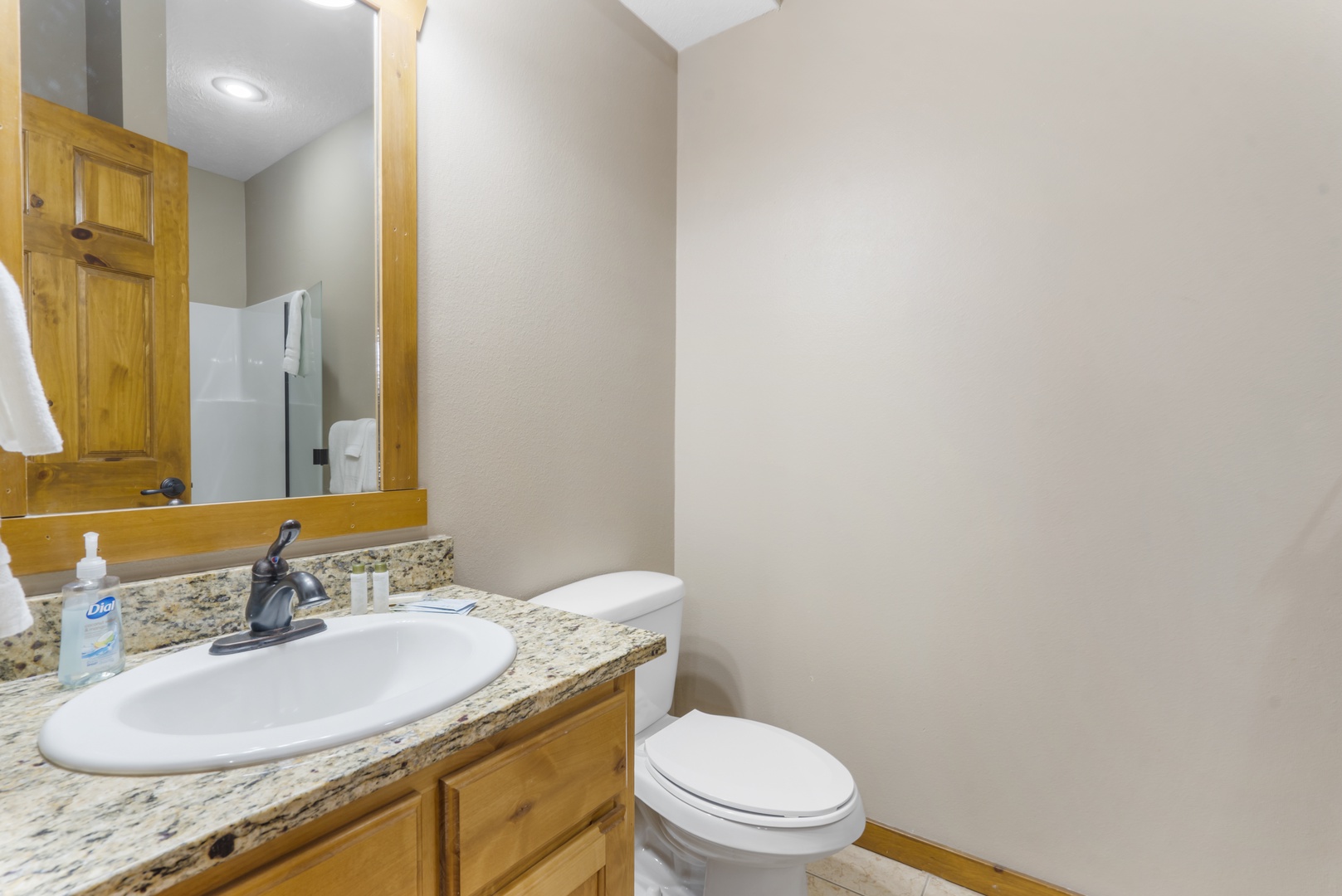 Enjoy a single vanity & walk-in shower in this lower-level ensuite bath