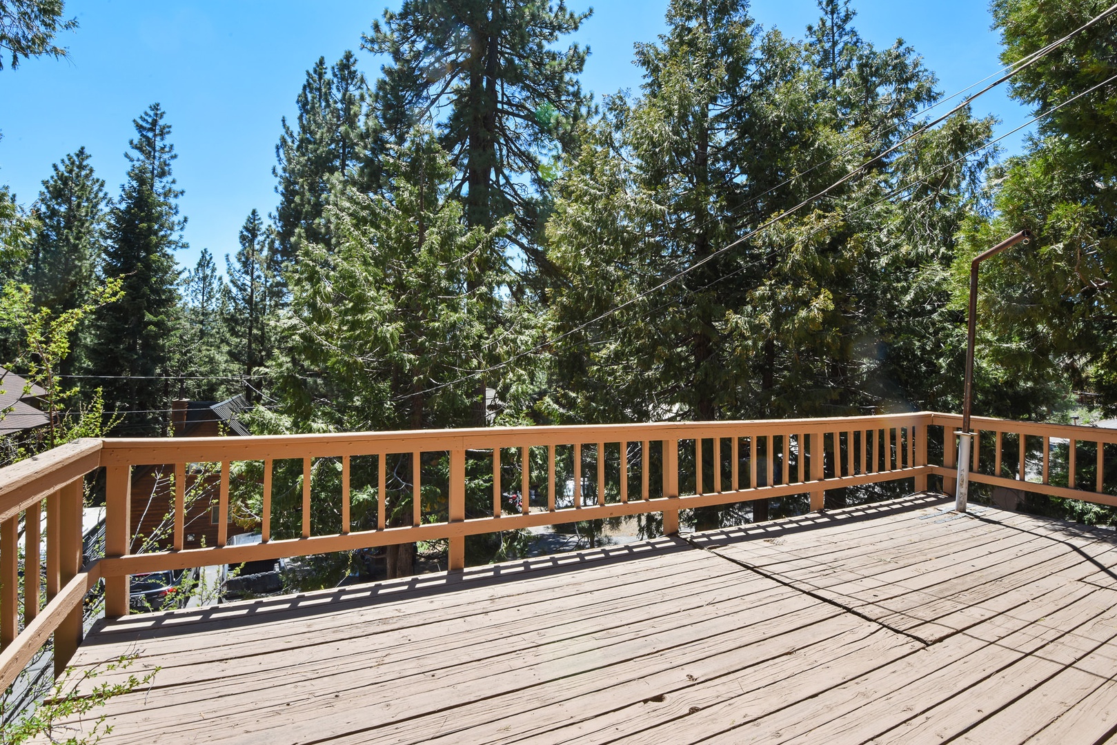 Large South-Facing Deck with Forest View