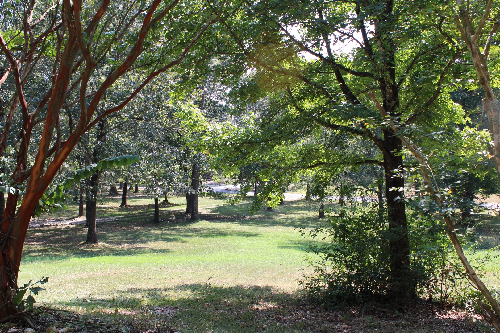 Tranquil nature views surround this Central AR home