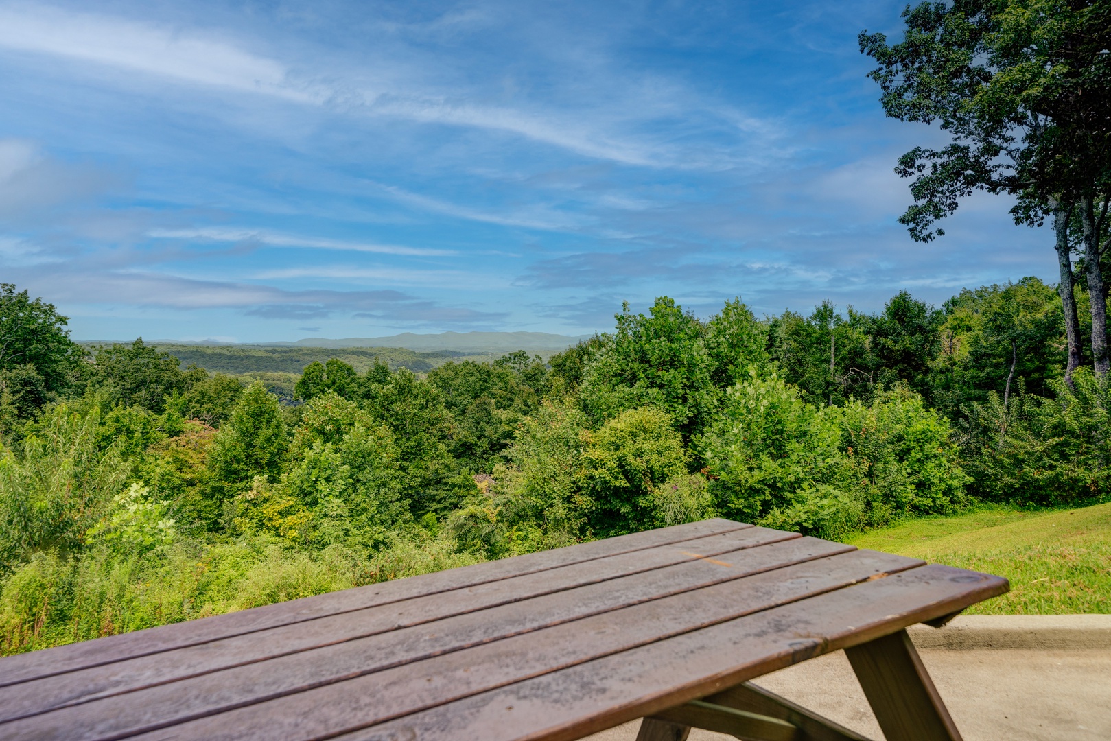 Picnic Table