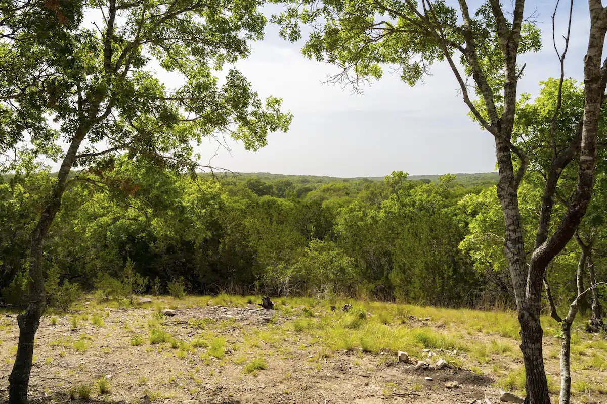 Foliage views