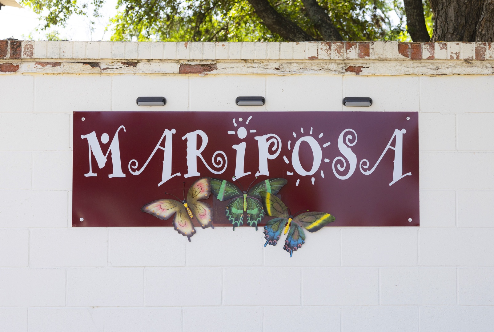 Welcome to Mariposa Monarch!