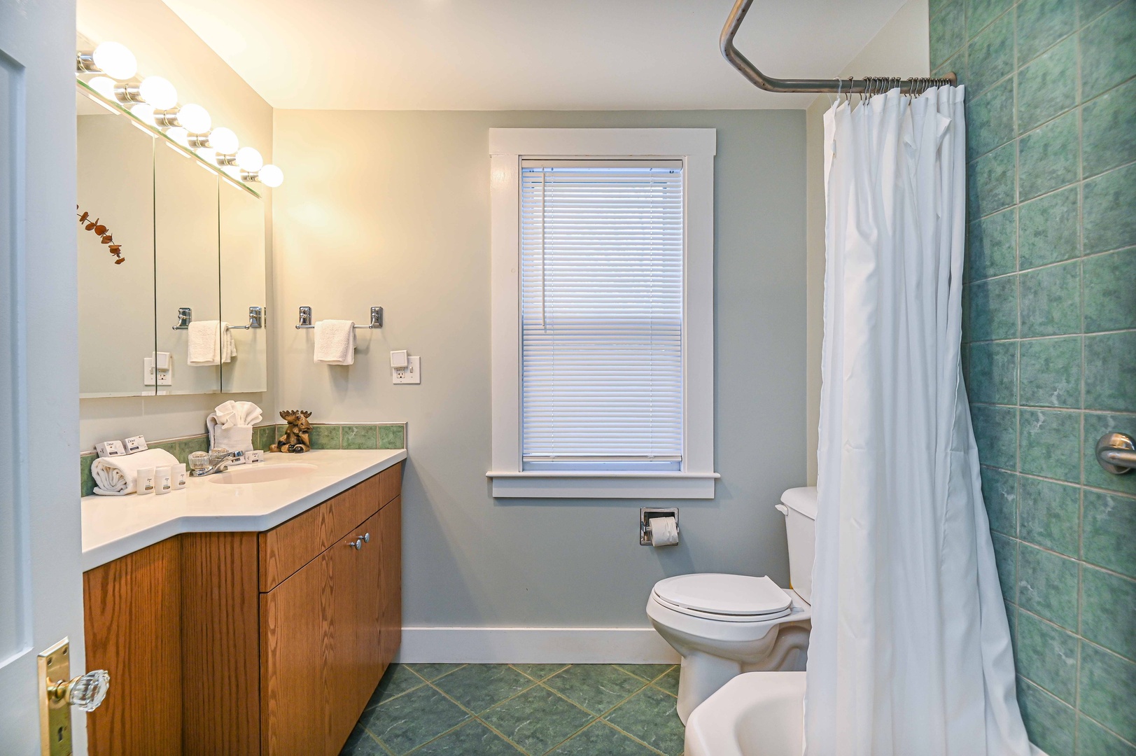 The full bath on the first floor includes a single vanity & shower/tub combo