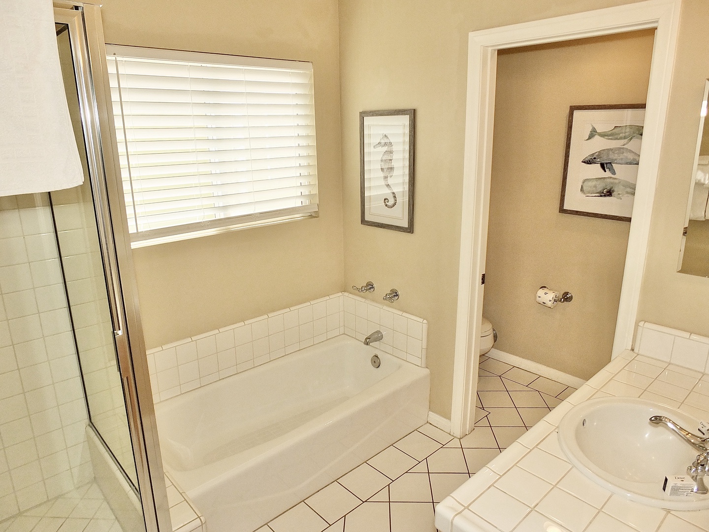 The shared bathroom features a single vanity, walk-in shower & tub