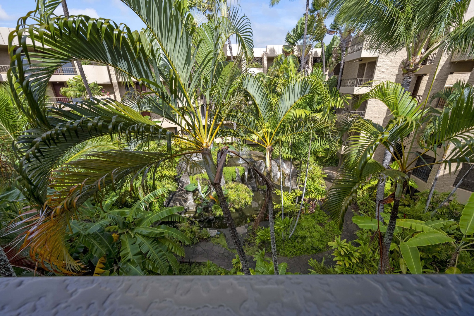 Tropical communal courtyard views from the lanai