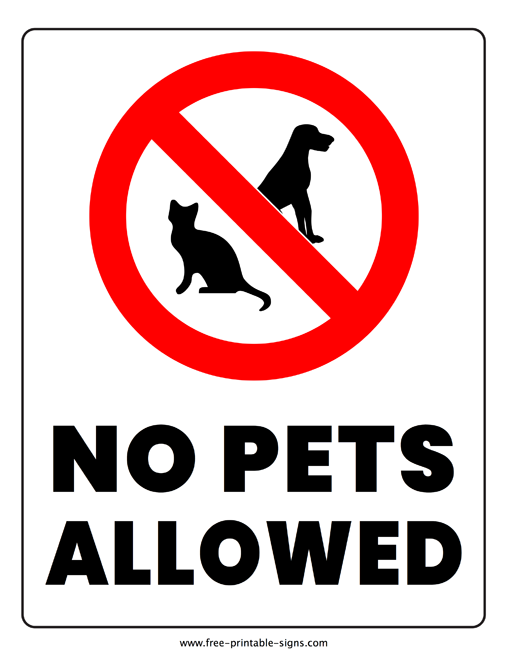 No pets allowed
