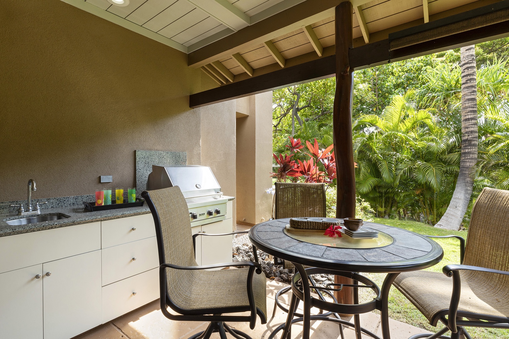 Gas Grill for BBQ night