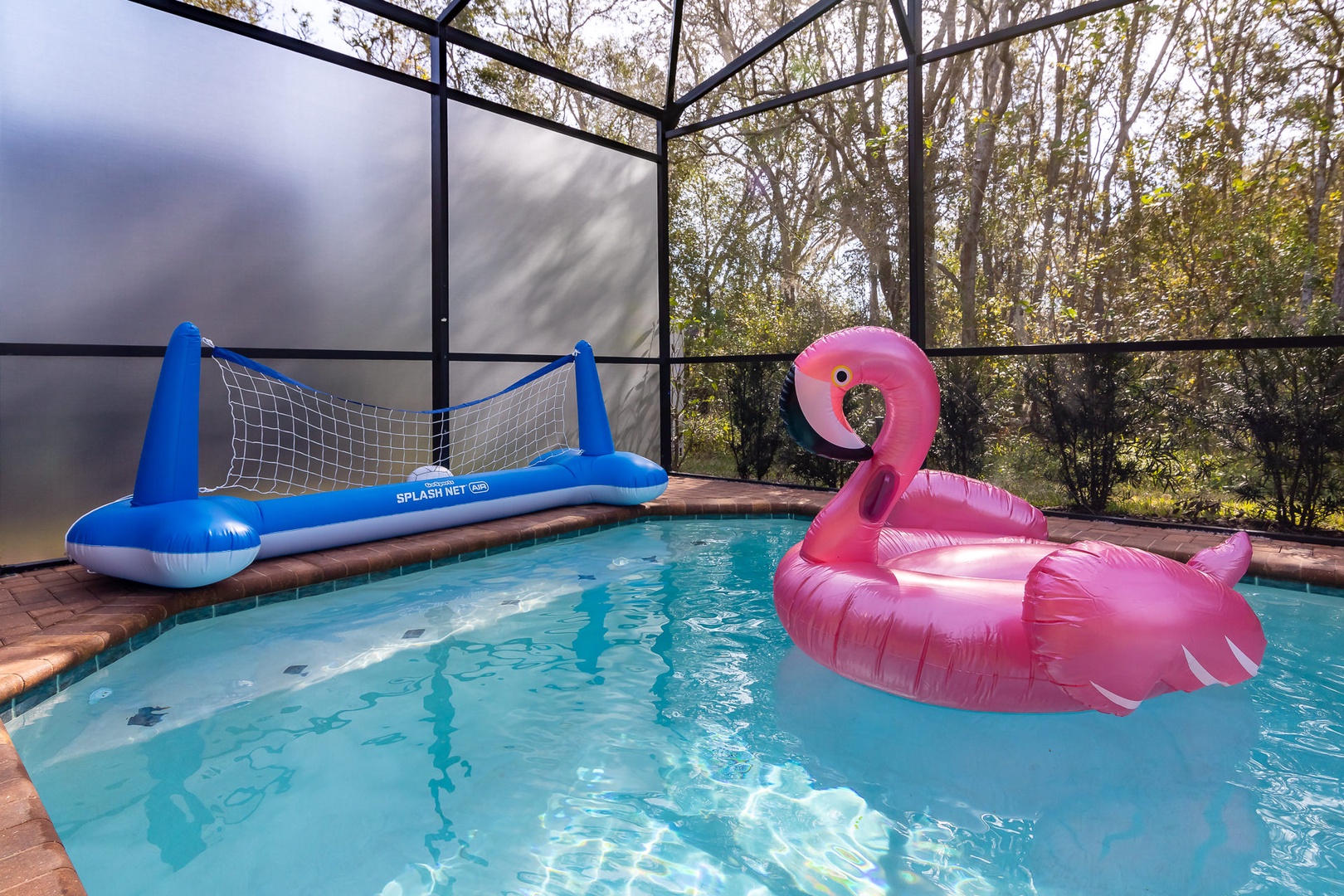 Pool games and flamingo floater