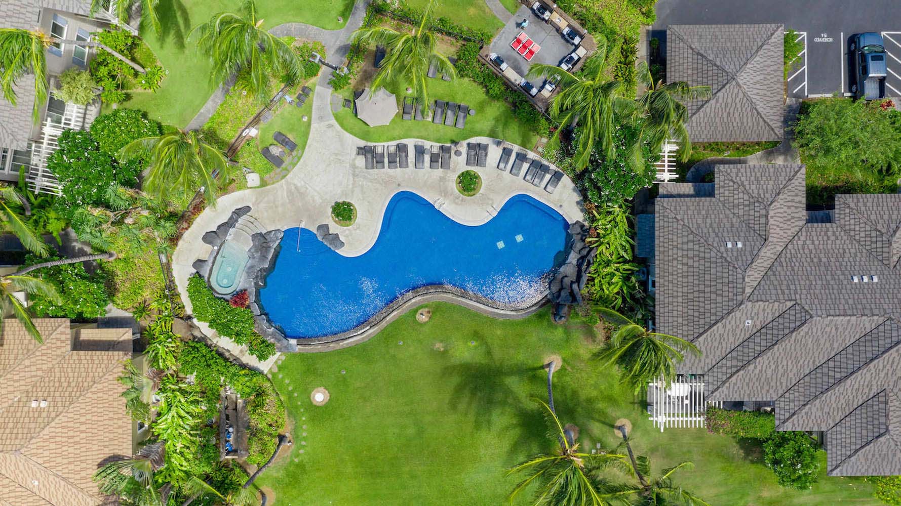 Aerial view of pool surrounded by foliage