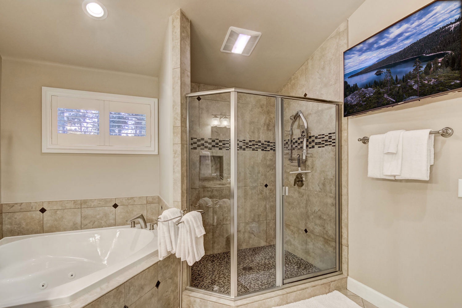 Master bathroom tub and standing shower