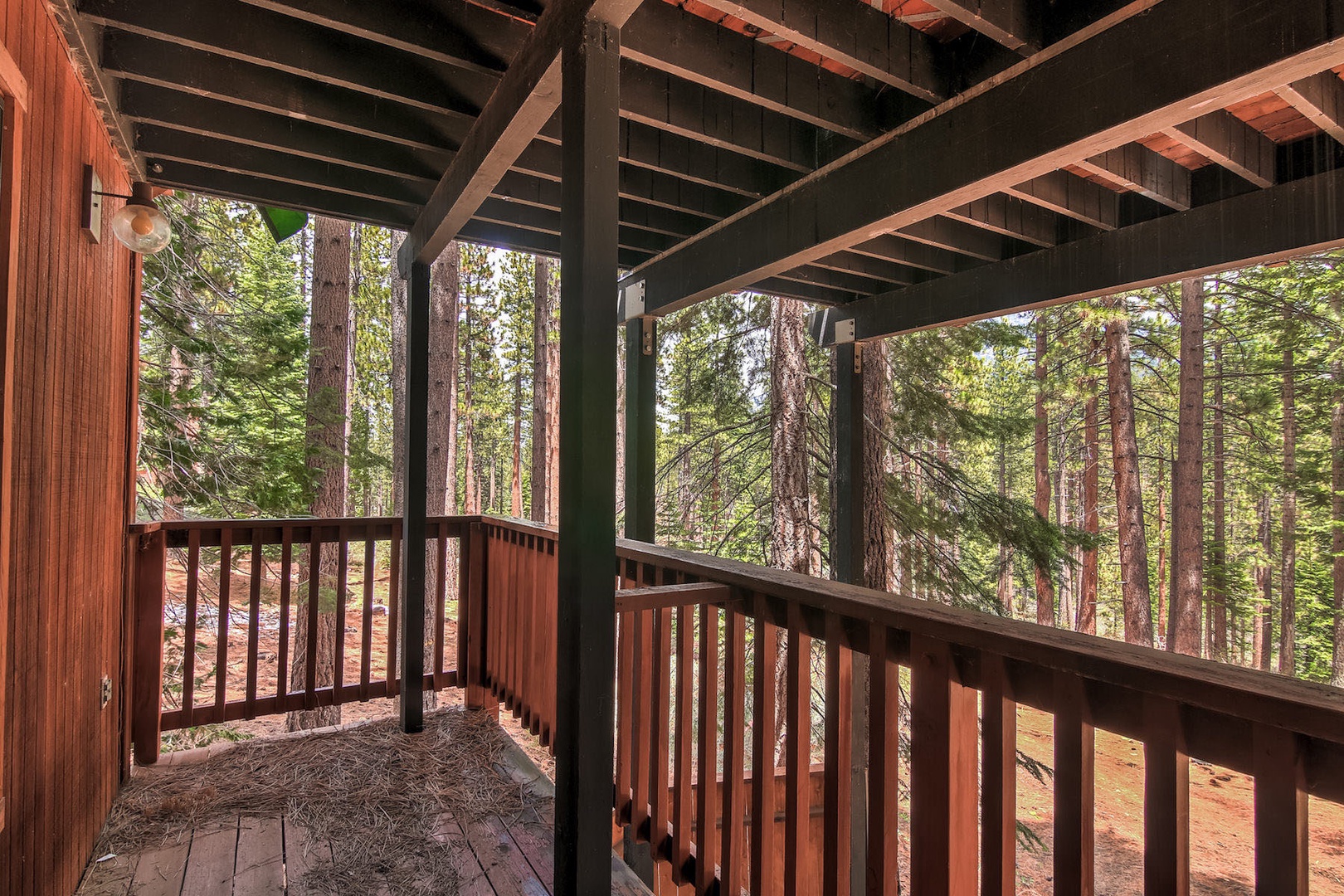 Downstairs patio overlooking forest