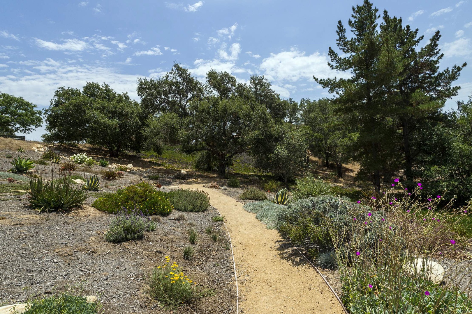 Garden Trail