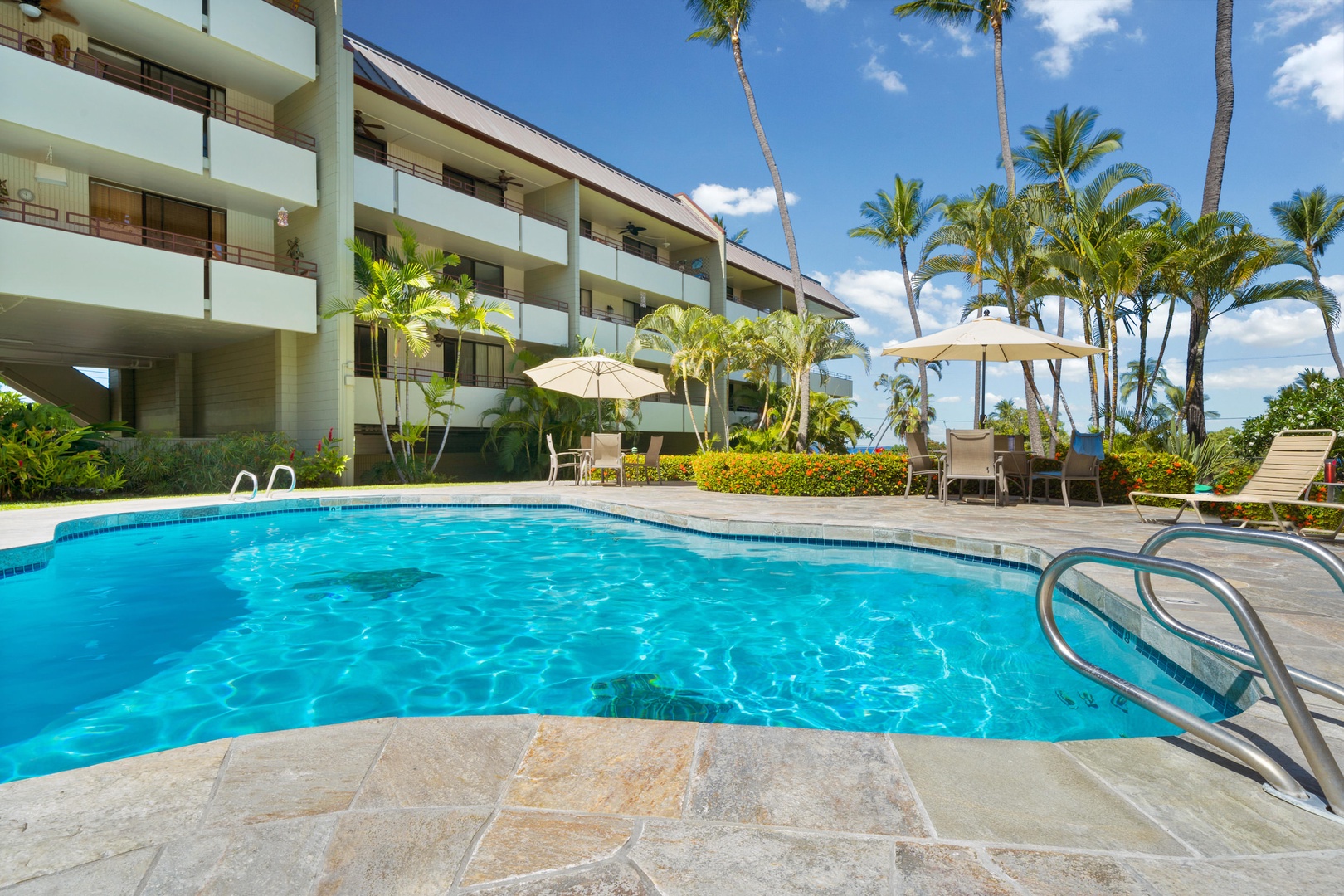 Oceanfront White Sands Village complex swimming pool