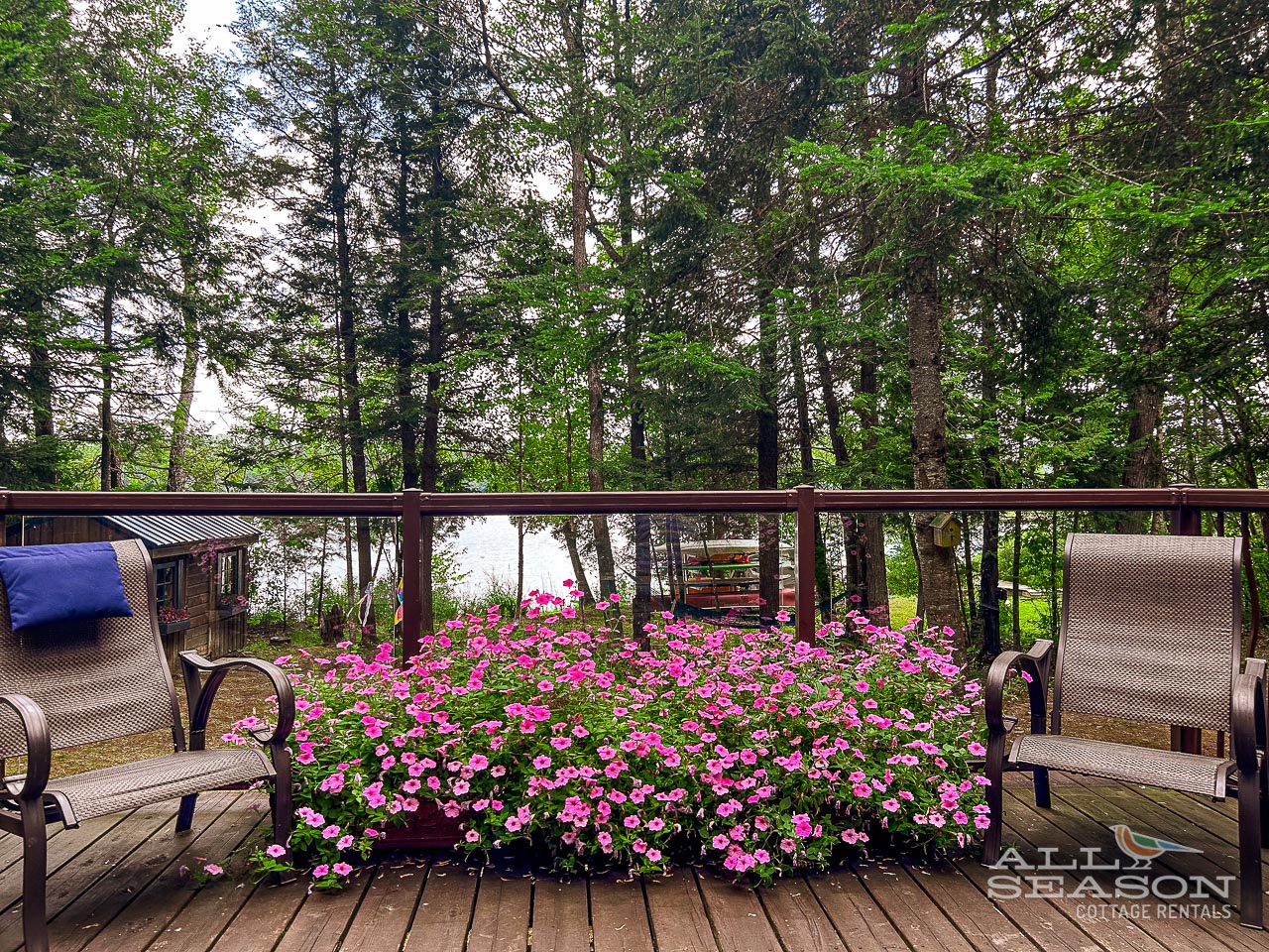 Dockside-Drift-View to lake