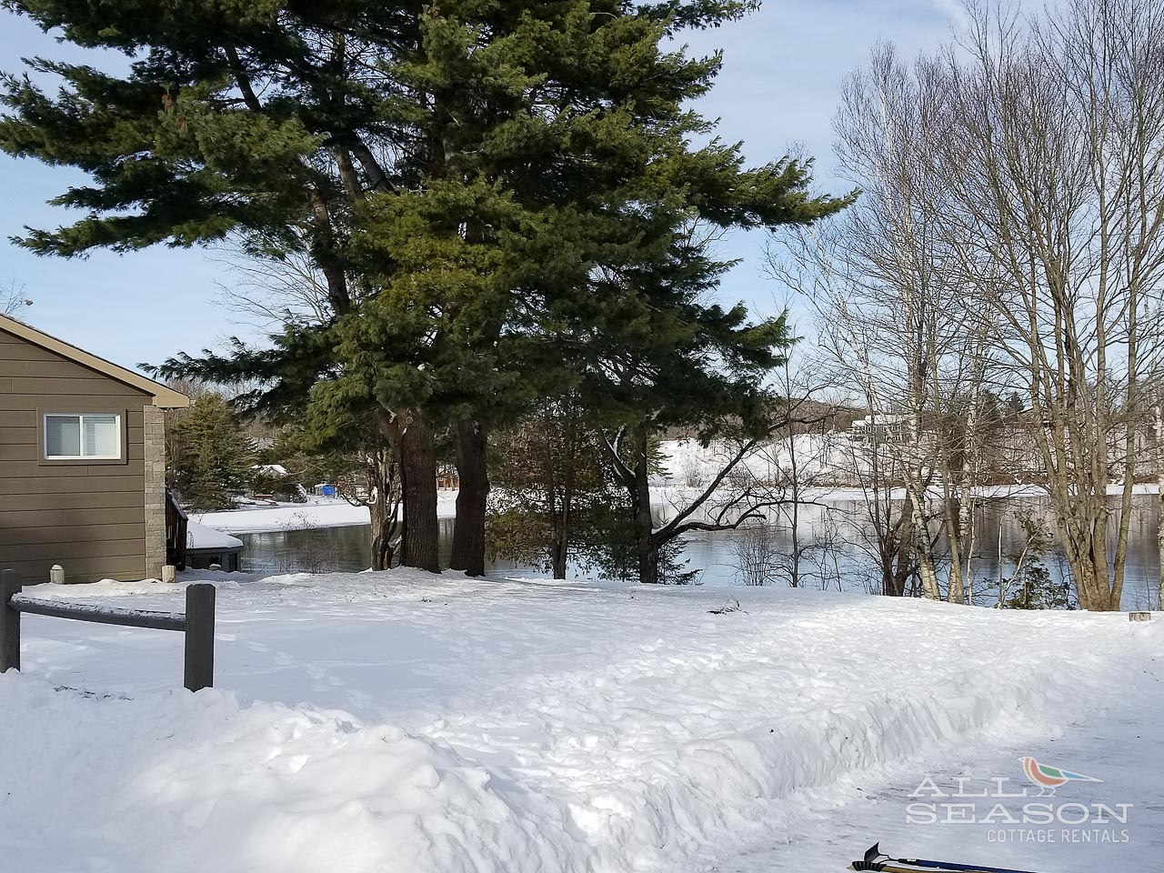 Snow-covered property grounds featuring mature evergreen trees and winter lake views in a peaceful residential setting.