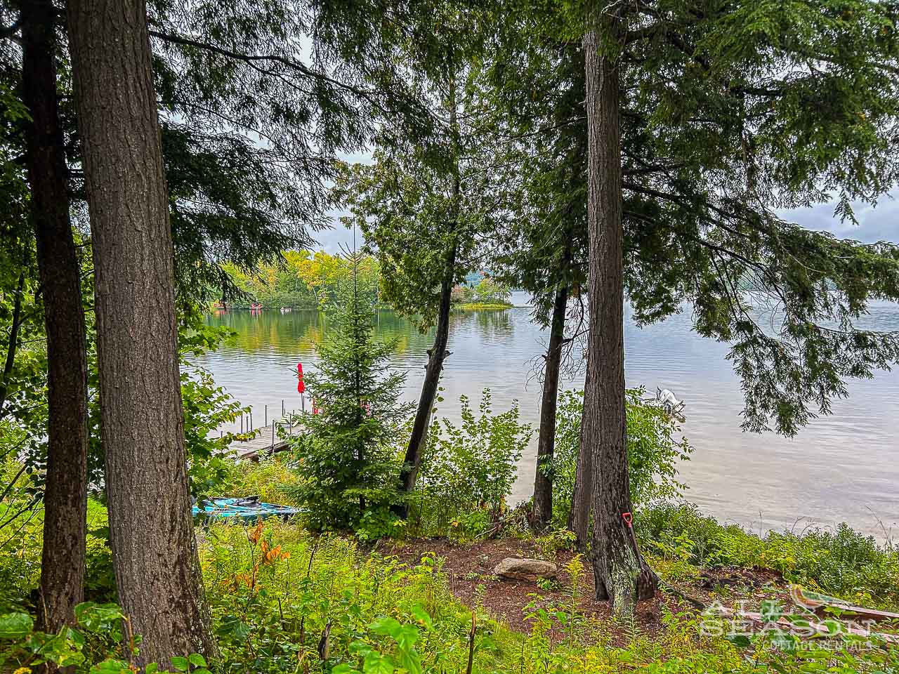 Whip-poor-will-View to lakefront