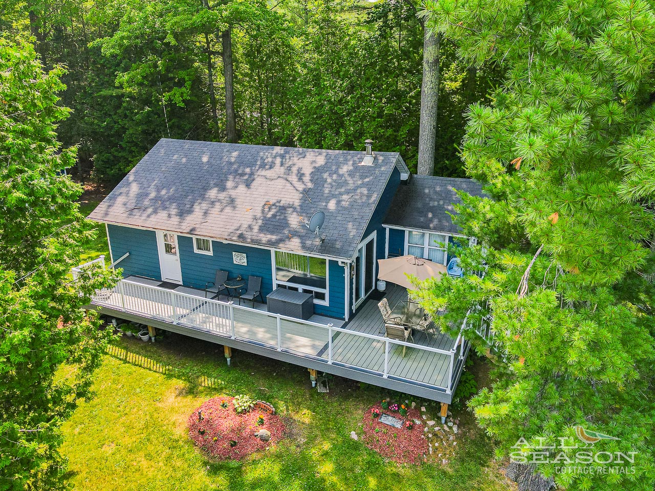 Charming blue cottage nestled among towering trees with wraparound deck and landscaped gardens creating a perfect forest retreat.