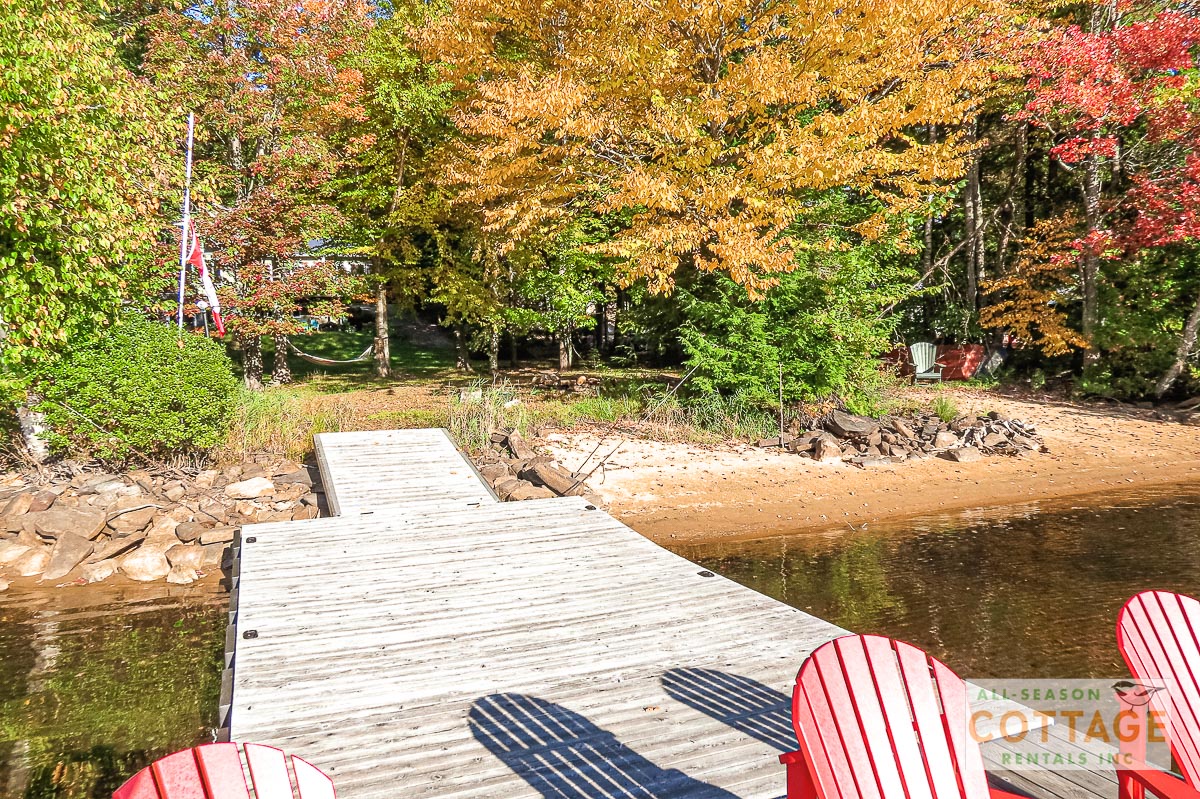 Dock and beach