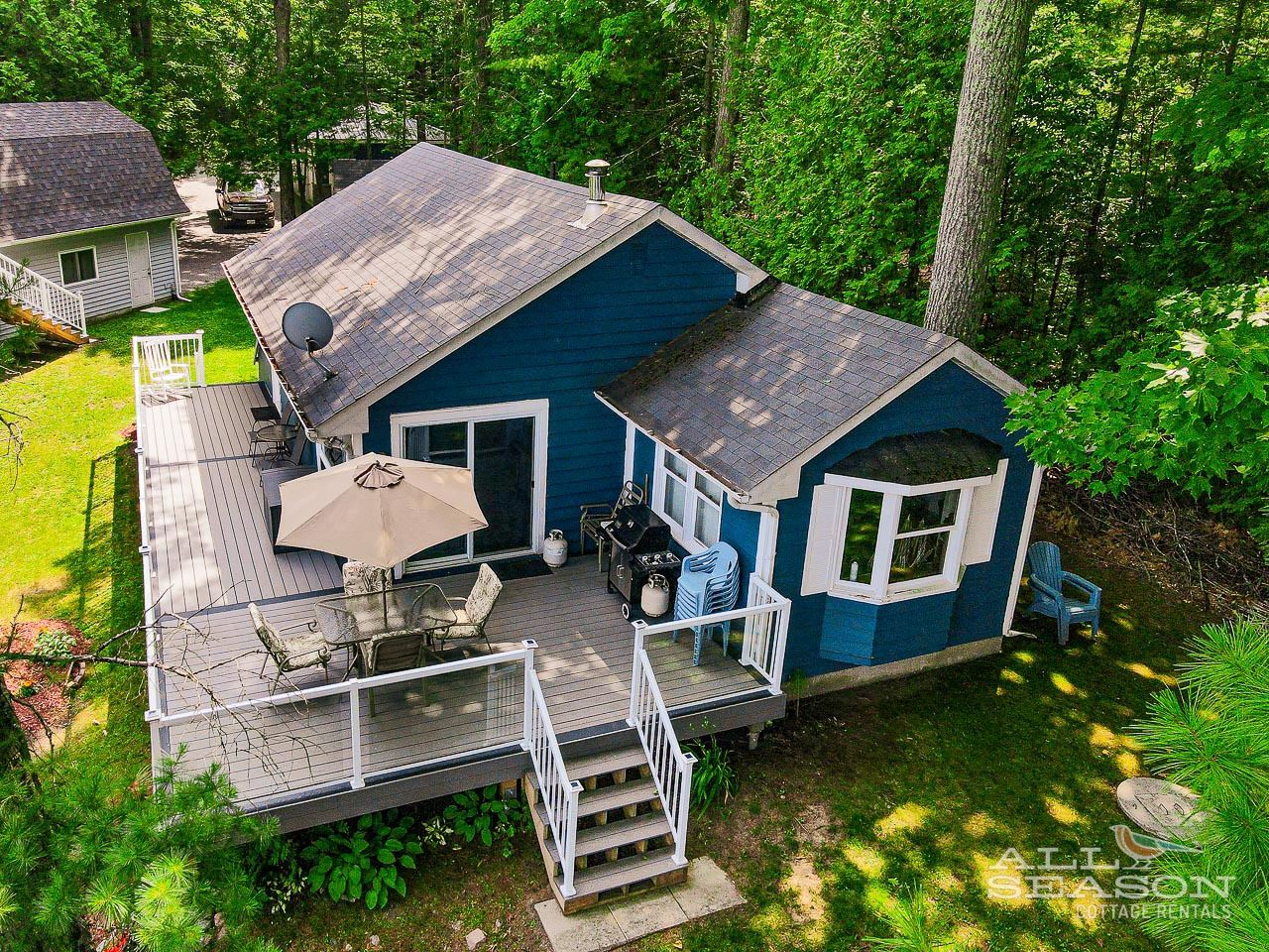 A charming blue cottage nestled in the forest with a spacious deck and BBQ area, surrounded by mature trees.