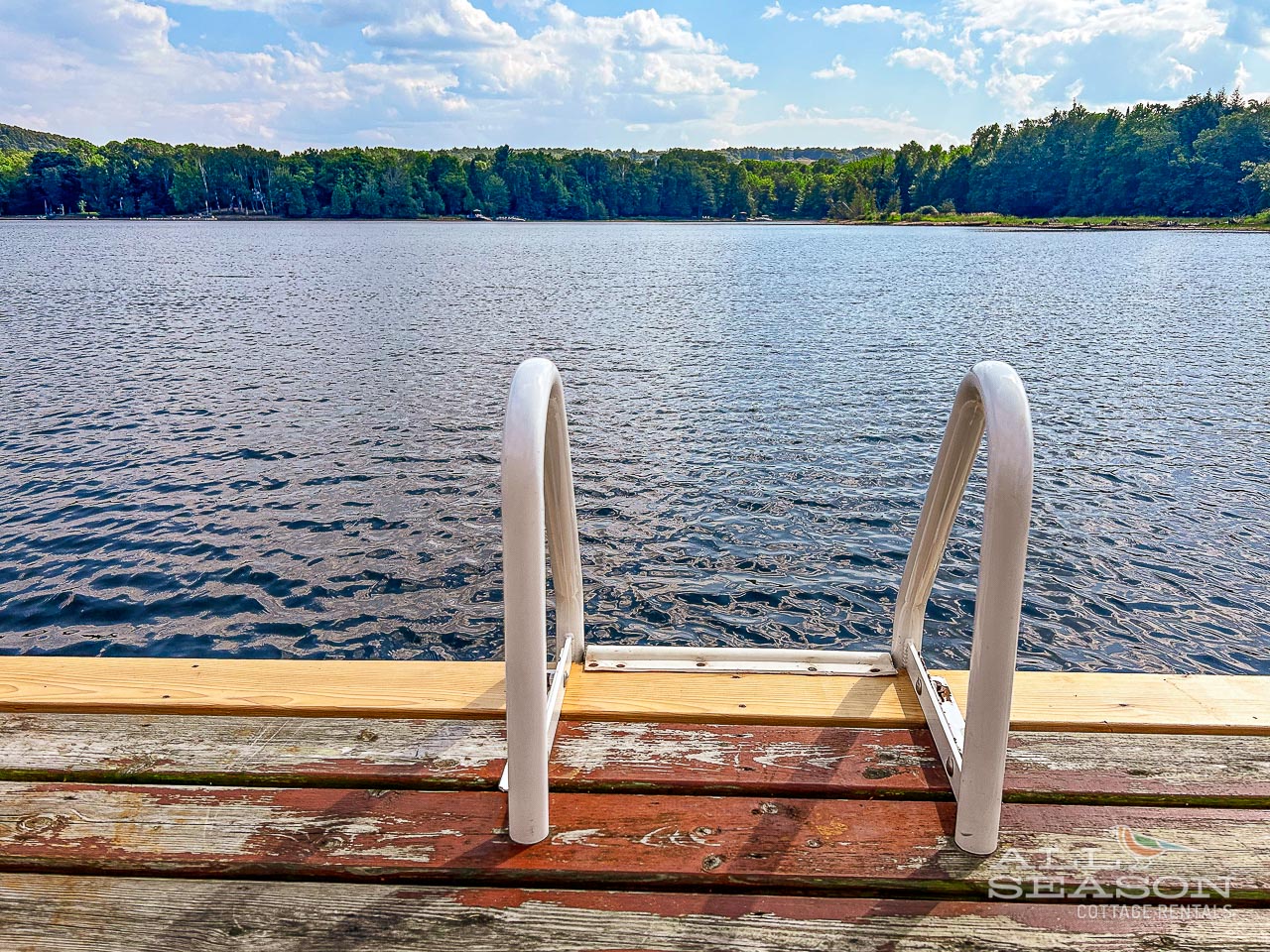 Dockside-Drift-Dock ladder