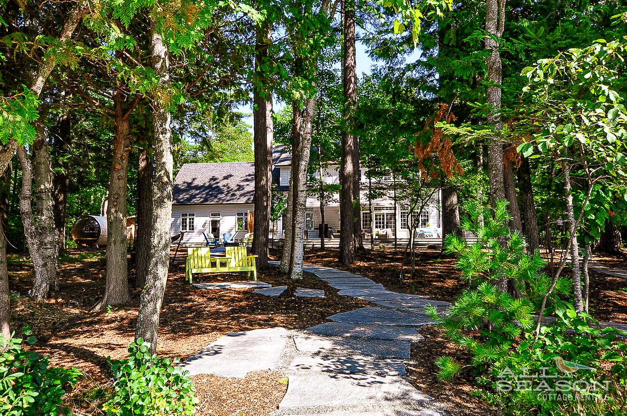 A charming cottage nestled among tall trees with bright yellow chairs creating the perfect forest retreat setting.