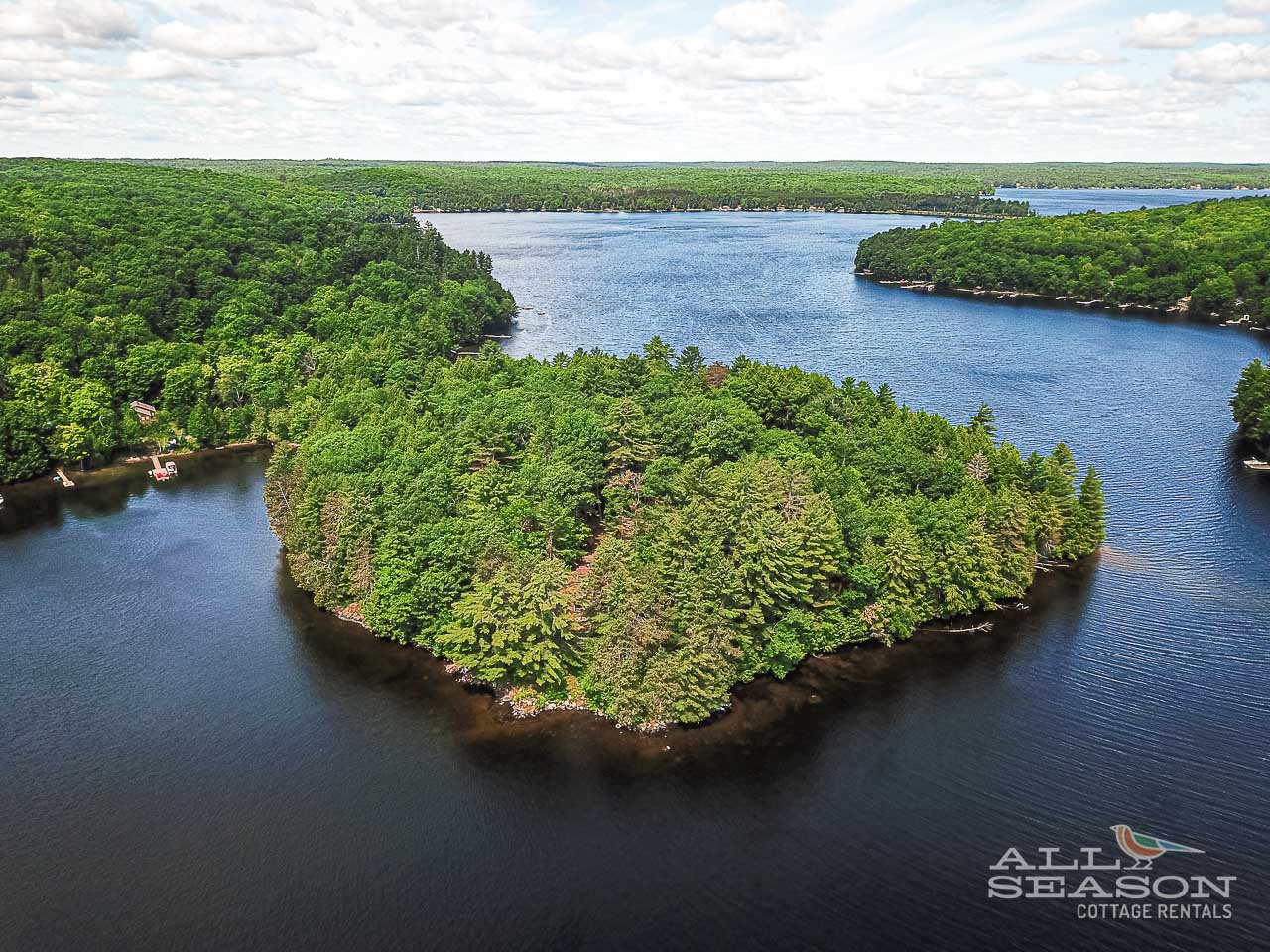 The cottage property includes the entire point!