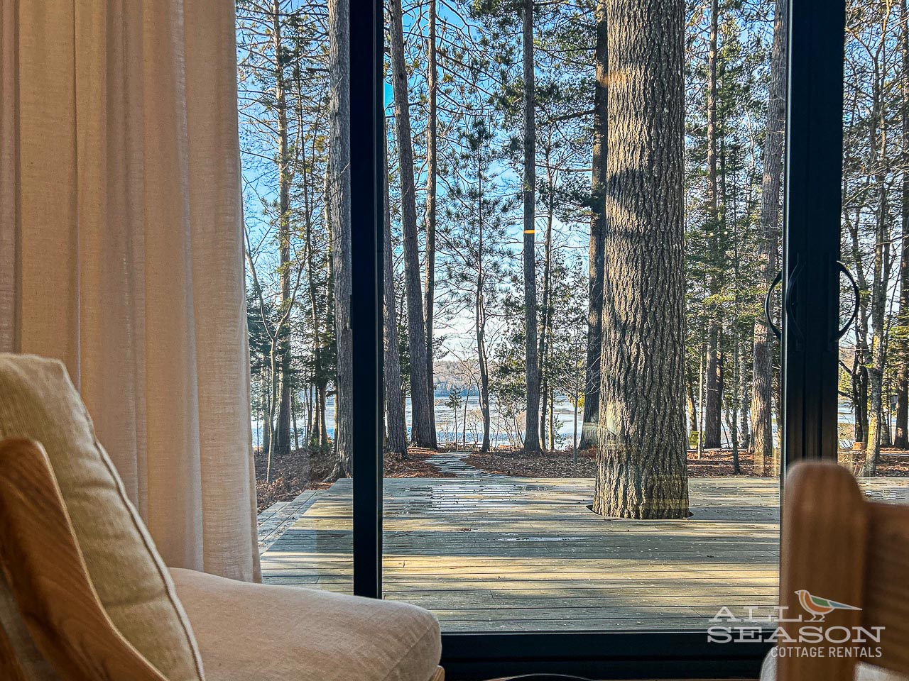 Your cozy window seat frames stunning forest views through towering trees. Relax indoors while enjoying nature's peaceful beauty right outside.